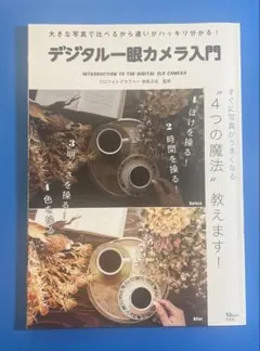 Item thumbnail for item 37f24a16-4b09-45b3-ad6e-ec9b1a56060d