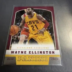 NBA WAYNE ELLINGTON 2012-13 PANINI