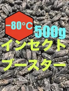 Item thumbnail for item 6645acf8-5294-4c98-b15d-98de72971e2e