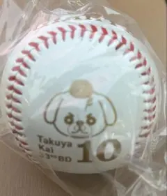 読売ジャイアンツ 甲斐拓也 誕生祭 カイシーズー チャレンジ 3等 ロゴボール