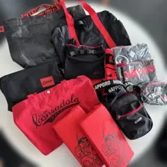 北海道コンサドーレ札幌 バッグ ポーチ 他consadole