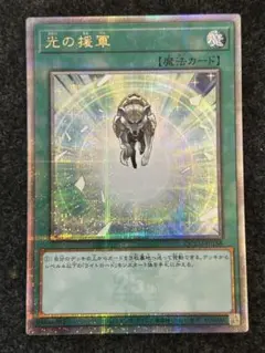 光の援軍 25thシク