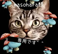 masohara様 リクエスト 3点 まとめ商品