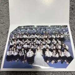 乃木坂46 白石麻衣 卒業コンサート集合写真(おまけ付き) - メルカリ