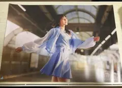 【新品未開封】　イチャイチャ虫 　ツタヤポスター　タイプA　日向坂46