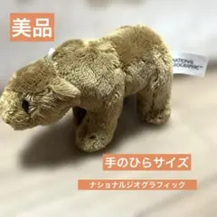 ナショナルジオグラフィック ぬいぐるみ クマ グリズリー ヒグマ リアル