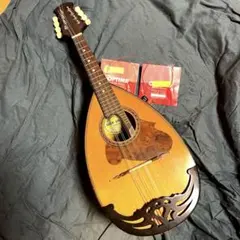チベット系弦楽器】ブータン ダムニェン 6弦 ドラゴンヘッド装飾