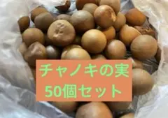 티트리 과일 50개 세트
