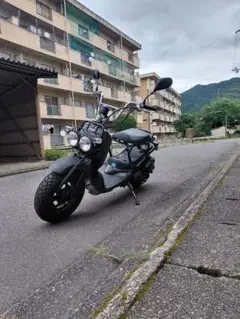 37312km ホンダ ズーマーX JF52 小型 兵庫 - メルカリ