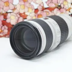 2025年最新】Canon EF 200mm F2.8L 単焦点の人気アイテム - メルカリ