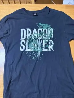 シルバーウルフ 魔裟斗 コラボ チャンピオン Tシャツ 黒 - メルカリ
