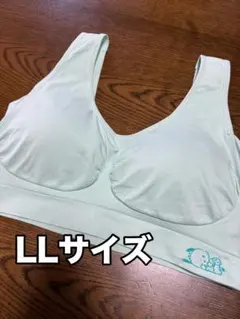 【新品未使用】VIAGE ナイトブラ サンリオ ポチャッコのサムネイル
