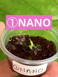 【ネコポス❣️】Tomis様 リクエスト 3点 まとめ商品