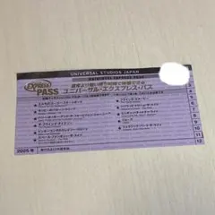 ユニバーサル・スタジオ・ジャパンエクスプレスパス　ドンキーコング可