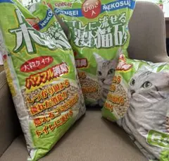 Item thumbnail for item 6b545a0a-c38a-4dc2-ac4f-10a7c2fcf8f9