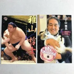 Item thumbnail for item 05bad8b4-3813-4953-9f30-796d00dd5c39