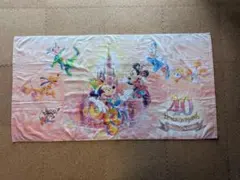 東京ディズニーリゾート 40周年　バスタオル・ピンバッジセット