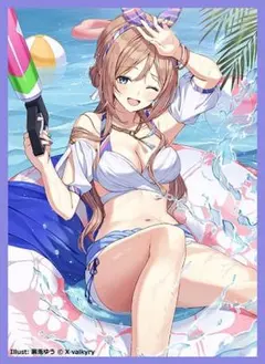 アイドルマスター スリーブ