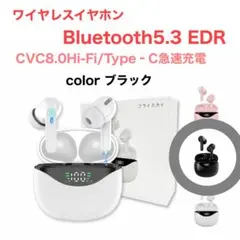 イヤホンBluetooth5.3 CVC8.0Hi-Fi/Type‐C急速充電