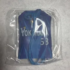 横浜DeNAベイスターズ お守り 53 中川颯