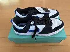 【新品】NIKE SB アリウープ CJ0882-104 28.0cmのサムネイル
