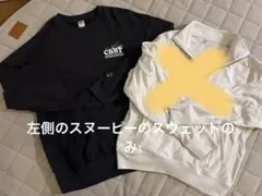 Item thumbnail for item 3a854ee2-3b24-4cbc-9528-690a5a9365cd