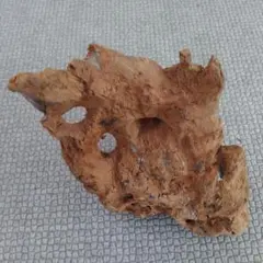 Item thumbnail for item cb55ad4f-fd1c-4093-b3c7-70213e397f74