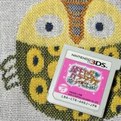 姫ギャル パラダイス 【DS527_a9