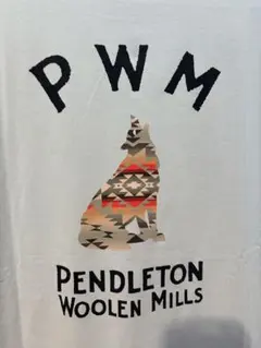 試着のみPENDLETON ペンドルトン Tシャツ オオカミPWM　Mサイズのサムネイル