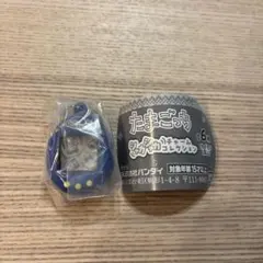 たまごっち　シャカシャカチャームコレクション　青　みみっち