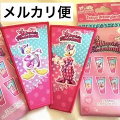 ミニーのファンダーランド　ワッペンアクセサリー　ミッキー＆ミニー