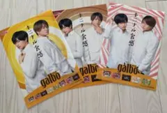 Sexy Zone 中島健人 菊池風磨ガルボキャンペーンクリアファイル3枚セット