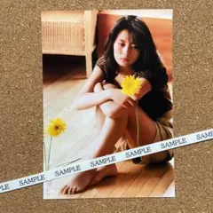 中山美穂写真Lサイズ N-136のサムネイル
