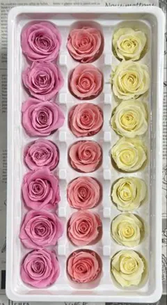 プリザーブドフラワー　2-3cm 21輪　バラ　 　　　　　　　　アソートYP