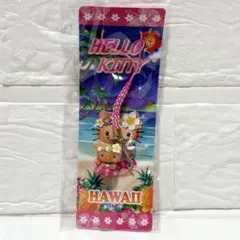 超希少　ハローキティ ご当地キティ 根付 タイ日焼けキティサワディーカー キティ 根付け タイ 日焼けサワディーカー ストラップ レア