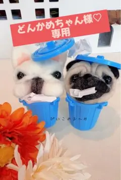 どんかめちゃん様♡専用です！