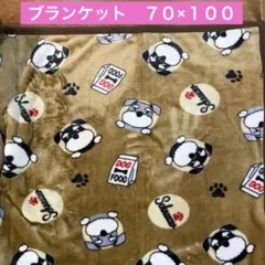 専用ページ【新品】洋梨柄 ブランケット 70×100 膝掛け フルーツ