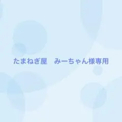 【18番目対応】たまねぎ屋　みーちゃん様専用