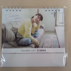 Item thumbnail for item 818ec158-234a-46d6-bcd9-cea0dac101b5