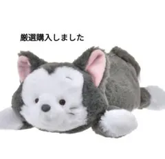 ディズニーストア　フィガロ　ぬいぐるみ　ペンケース　筆箱　猫の日