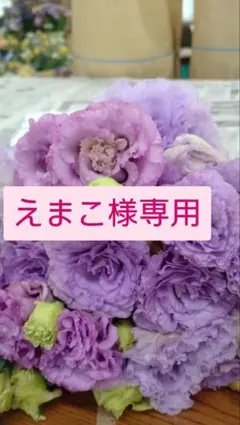 えまこ様専用　トルコギキョウ　リシアンサス　生花
