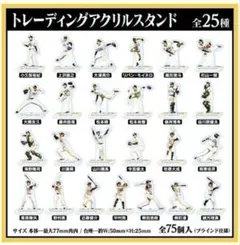 福岡ソフトバンクホークス 2025日本一記念アクスタくじ 全25種セット