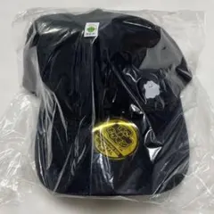 ぽこあポケモン　エディオン特典　オリジナルキャップ　メタモン　未使用