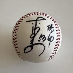 2025年最新】赤星 サインの人気アイテム - メルカリ