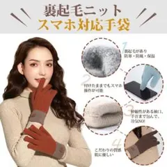 【タッチパネル対応】 レディース 手袋 ベージュ 裏起毛 ニット