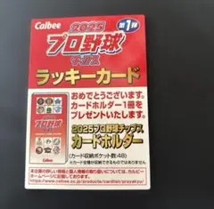 プロ野球チップス ラッキーカード