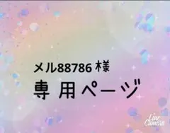 メル88786様 リクエスト 4点 まとめ商品