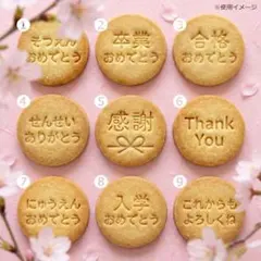 Item thumbnail for item fd43b634-7c17-437e-88cf-33b1e377ef88