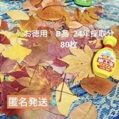 Shiho様 リクエスト 2点 まとめ商品