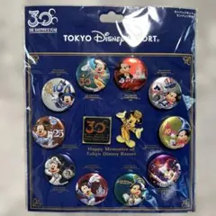 2026年最新】ディズニー30周年ピンの人気アイテム - メルカリ